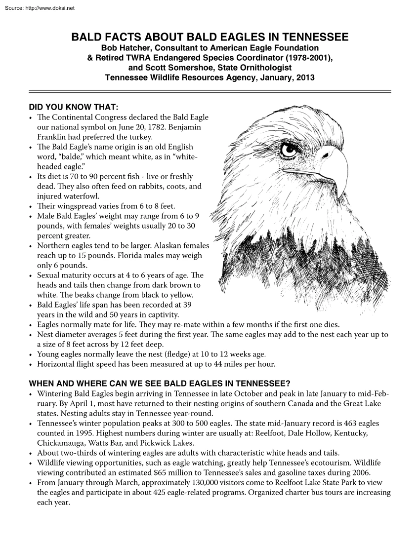 Bob Hatcher - Bald Facts about Bald Eagles in Tennessee
