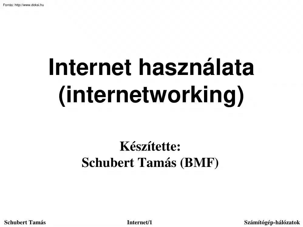 Schubert Tamás - Az internet használata