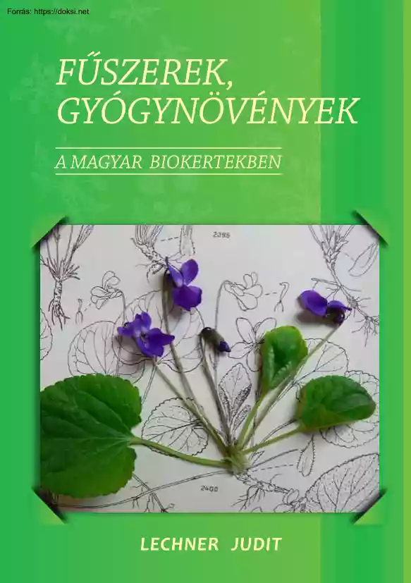 Lechner Judit - Fűszerek, gyógynövények a magyar biokertben