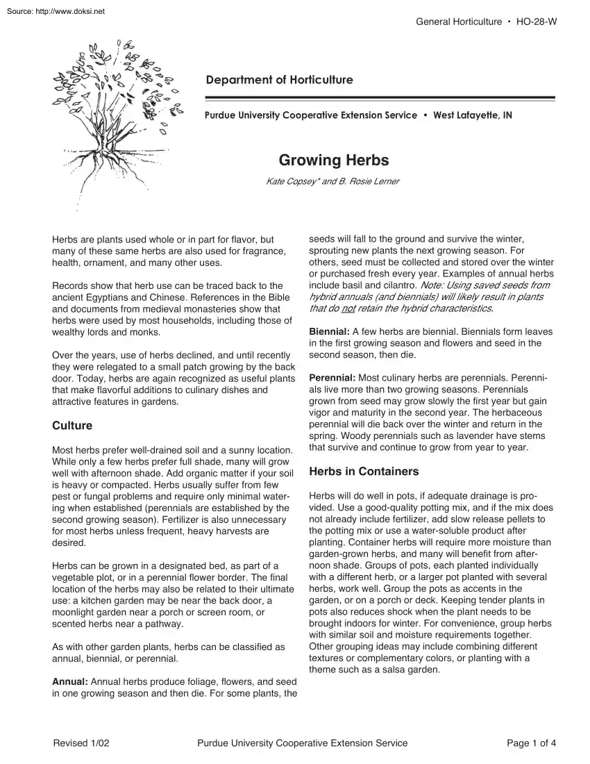 Copsey-Lerner - Growing Herbs