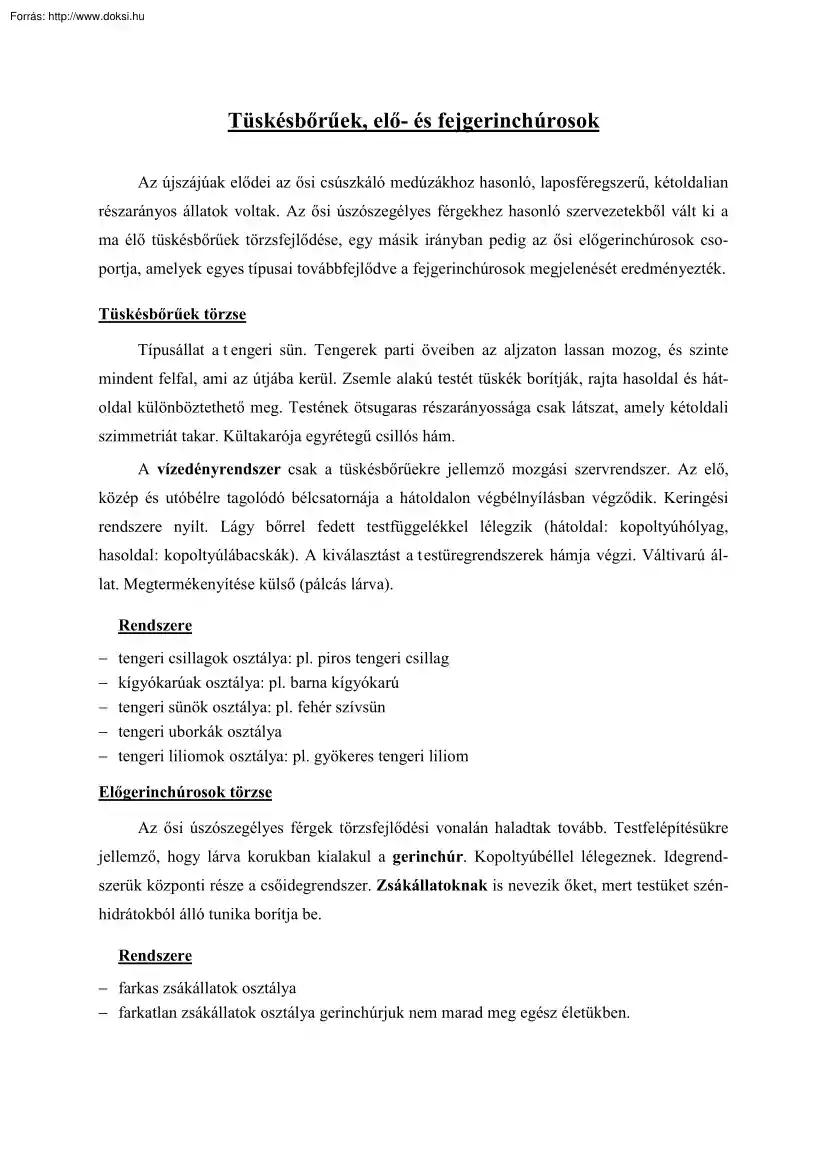 Tüskésbőrűek, elő- és fejgerinchúrosok