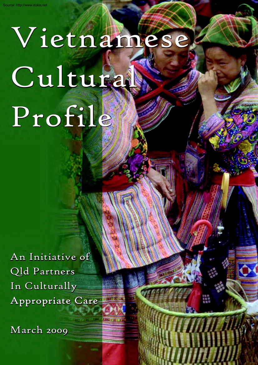 Carly Goldman - Vietnamese Cultural Profile