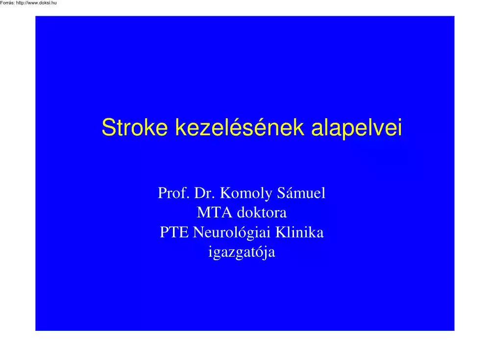 Prof. Dr. Komoly Sámuel - Stroke kezelésének alapelvei