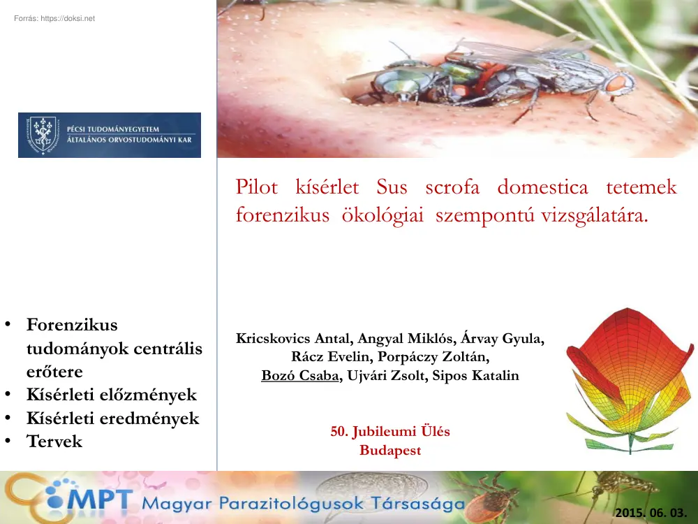 Pilot kísérlet Sus scrofa domestica tetemek forenzikus ökológiai szempontú vizsgálatára