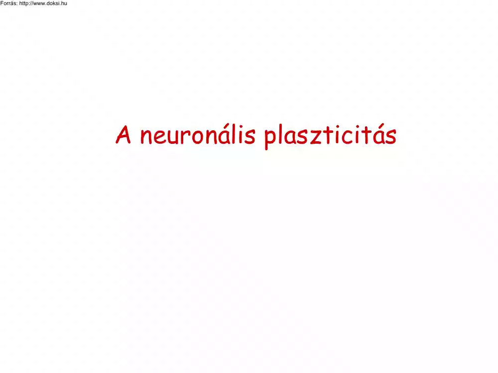 A neuronális plaszticitás