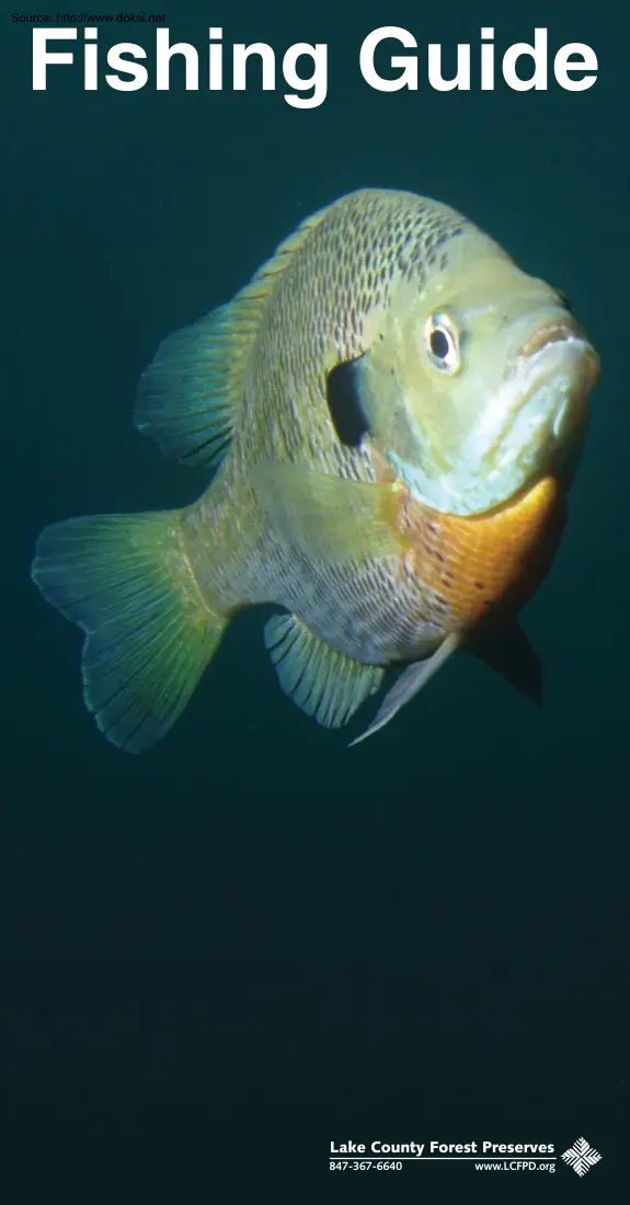 Fishing Guide