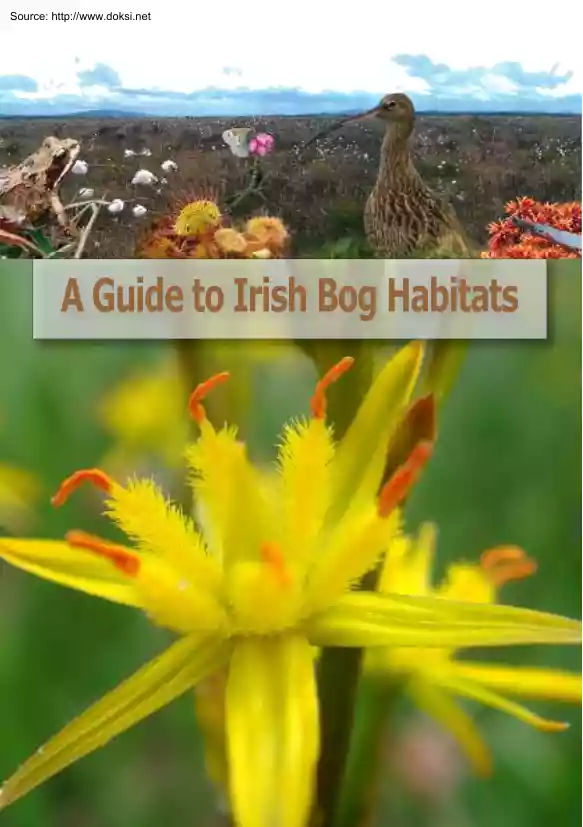 A Guide to Irish Bog Habitats