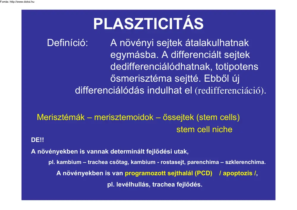 Plaszticitás