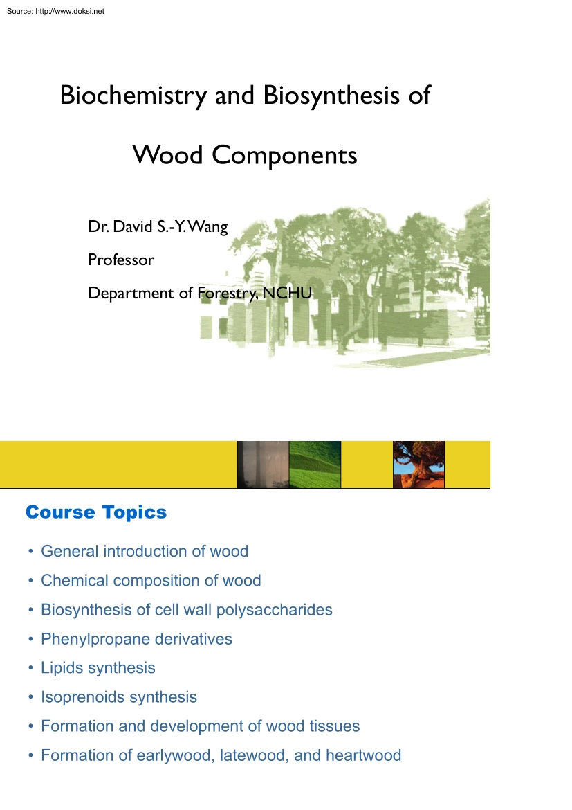 Biochemistry and Biosynthesis of Wood Components