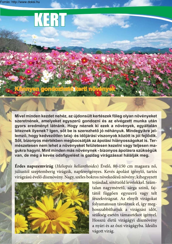 Molnár Attila - Könnyen gondozható kerti növények