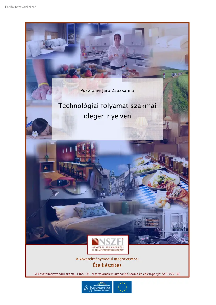 Pusztainé Járó Zsuzsanna - Technológiai folyamat szakmai idegen nyelven