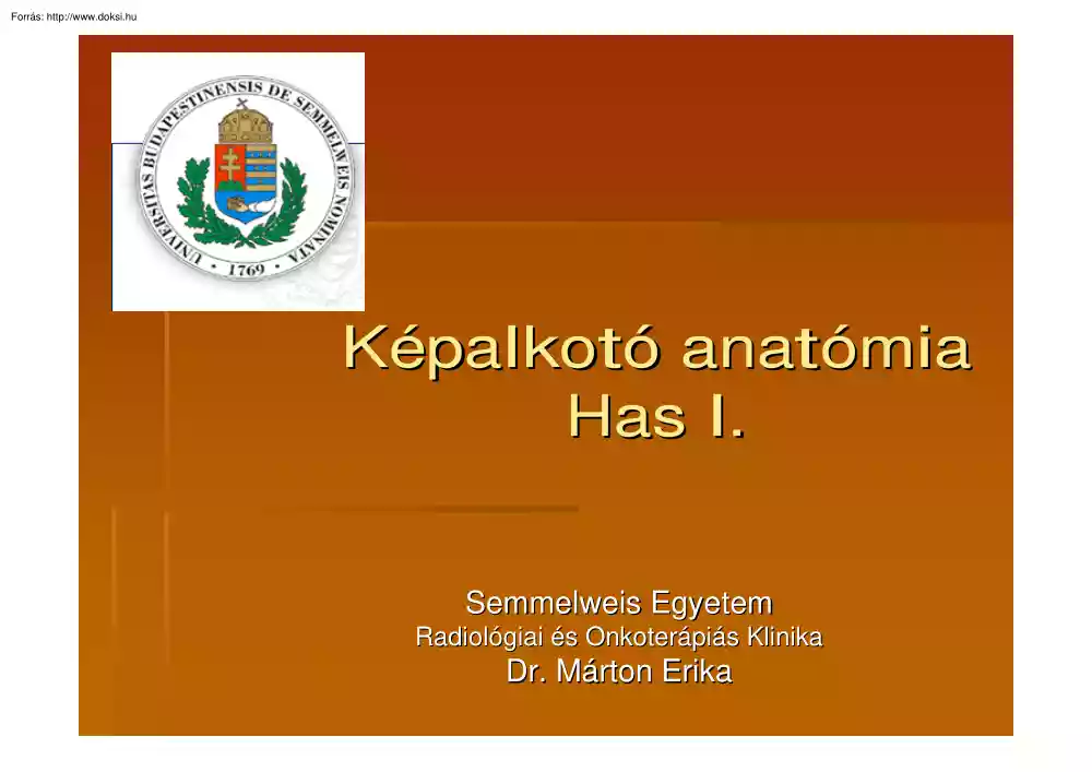 Dr. Márton Erika - Képalkotó anatómia, Has I.