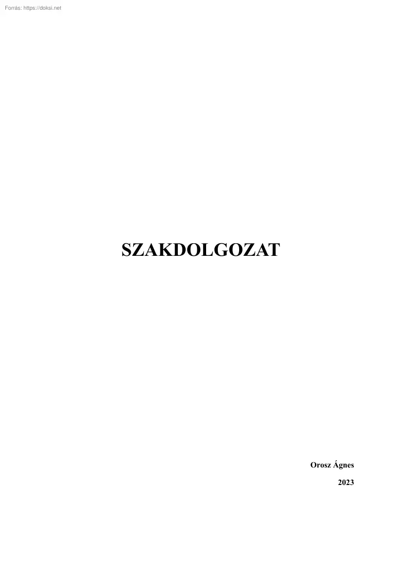 Orosz Ágnes - A város másik oldala, Budapest szórakozóhelyeinek vizsgálata