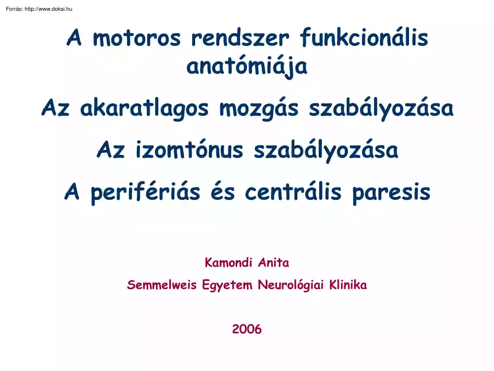 Kamondi Anita - A motoros rendszer funkcionális anatómiája