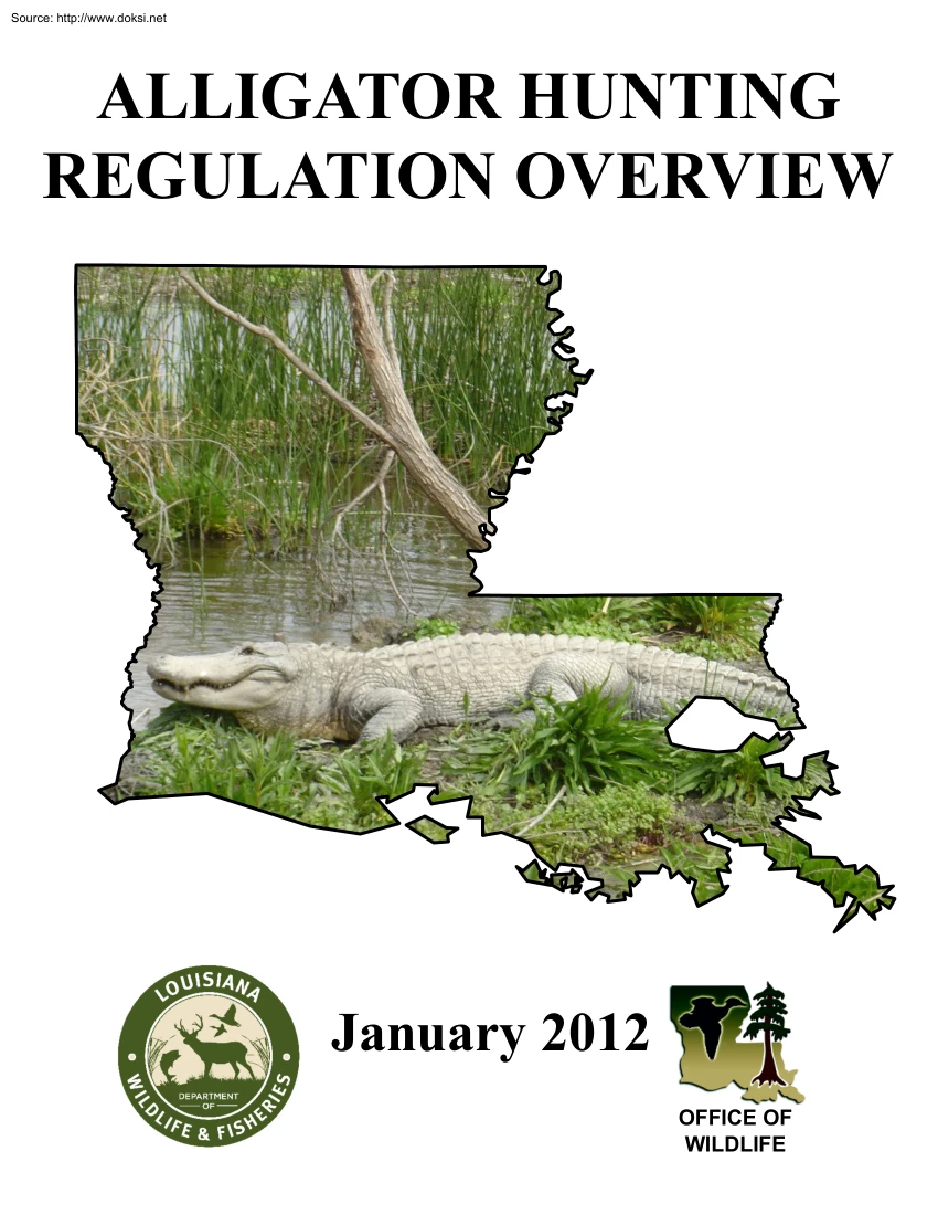 Alligator Hunting Regulation Overview