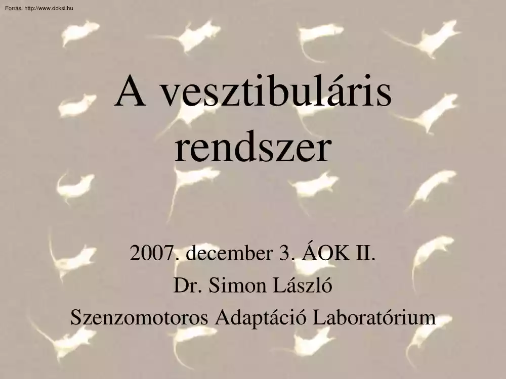 Dr. Simon László - A vesztibuláris rendszer