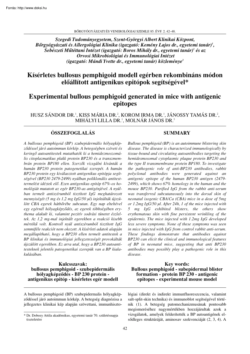 Husz-Kiss-Korom - Kísérletes bullosus pemphigoid modell egérben rekombináns módon előállított antigenikus epitópok segítségével