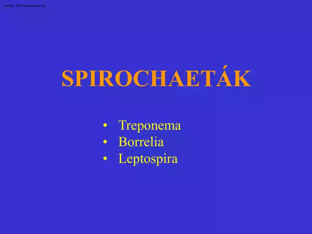 Spirochaeták