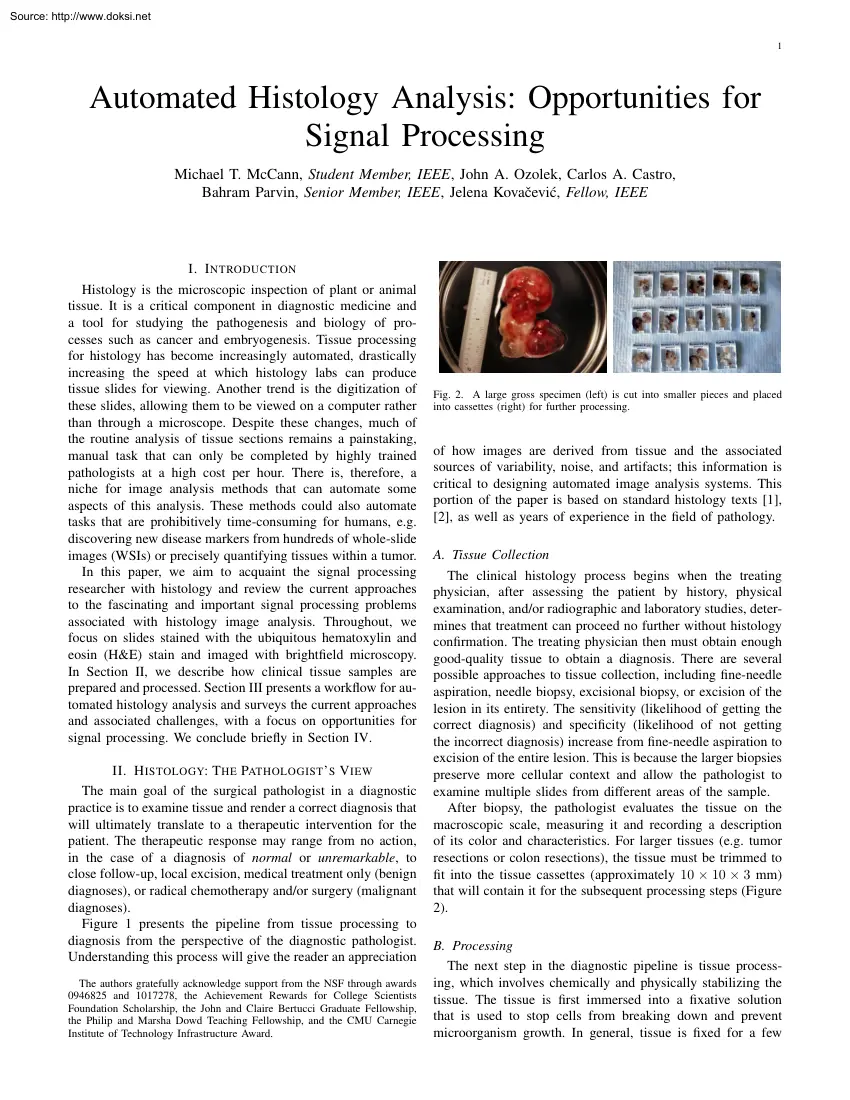 McCann-Ozolek-Castro - Automated Histology Analysis, Opportunities for Signal Processing