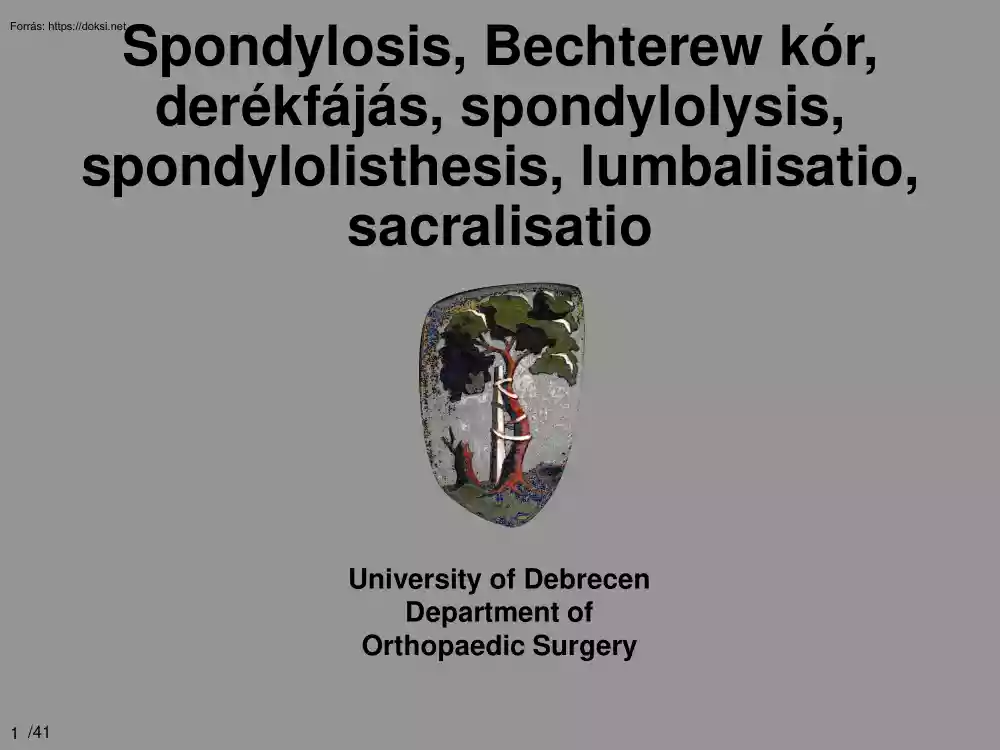 Spondylosis, Bechterew kór, derékfájás, spondylolysis, spondylolisthesis, lumbalisatio, sacralisatio
