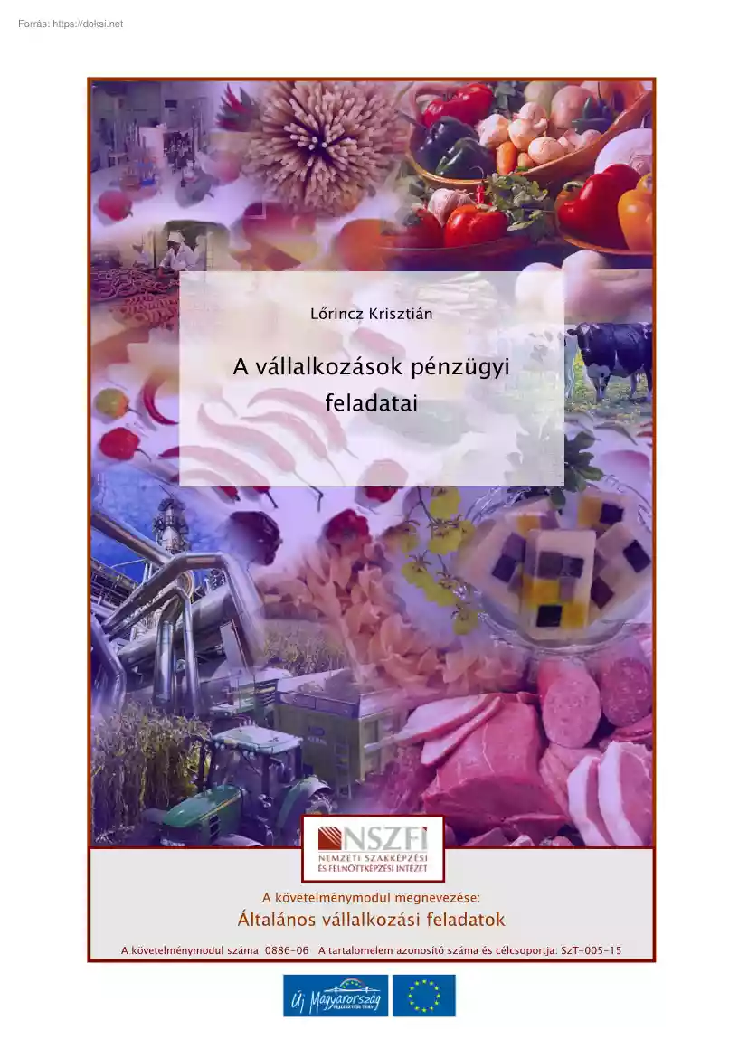 Lőrincz Krisztián - A vállalkozások pénzügyi feladatai