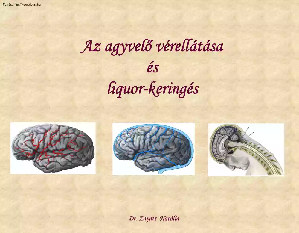 Dr. Zayats Natasa - Az agyvelő vérellátása és a liquor-keringés