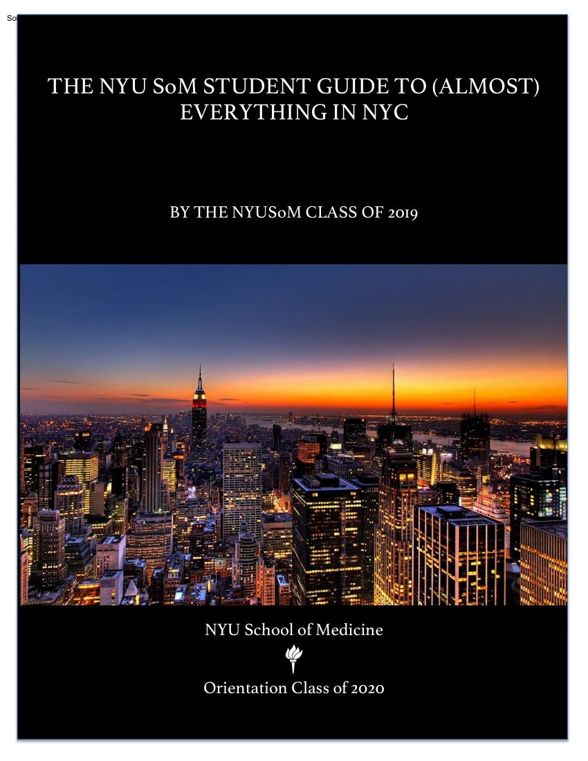 The NYU SoM Student Guide to Everything in NYC