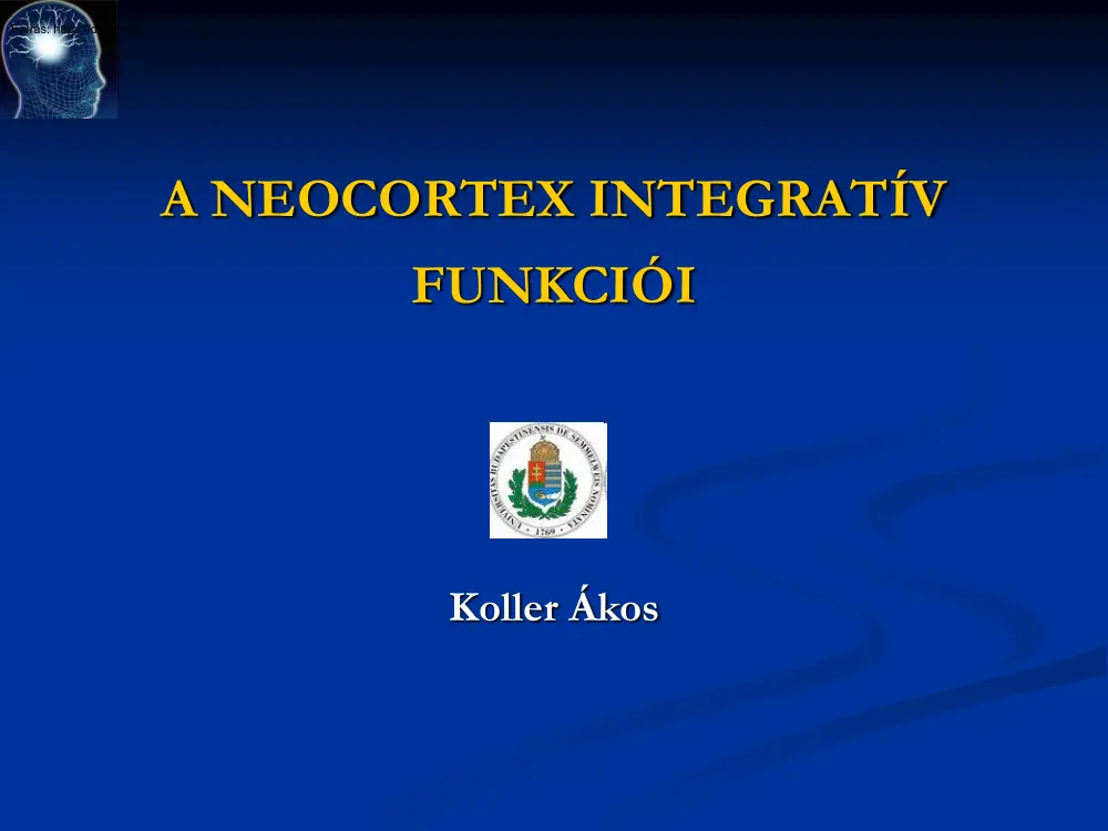 Koller Ákos - A neocortex integratív funkciói