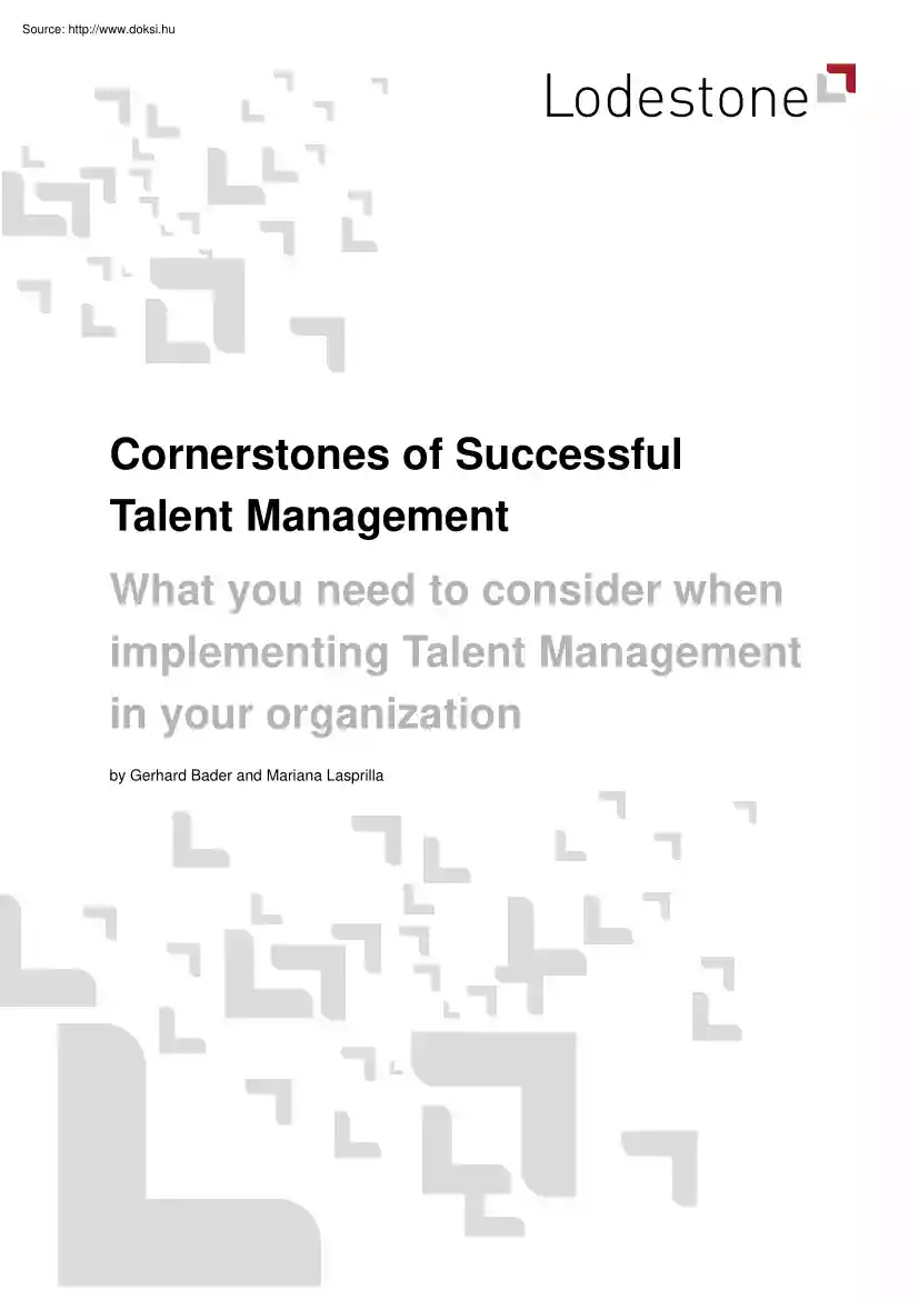 Bader-Lasprilla - Cornerstones of successful talent management