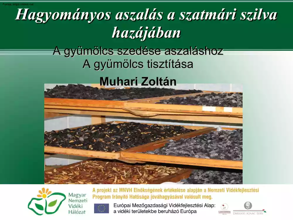 Muhari Zoltán - Hagyományos aszalás a szatmári szilva hazájában