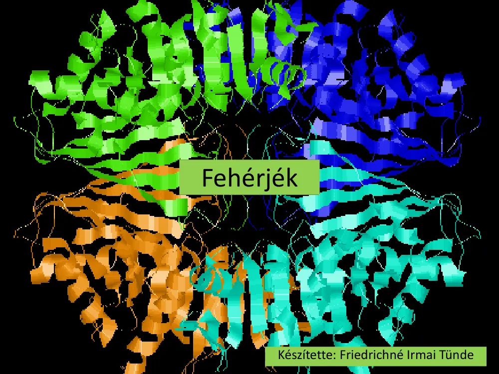 Friedrichné Irmai Tünde - Fehérjék