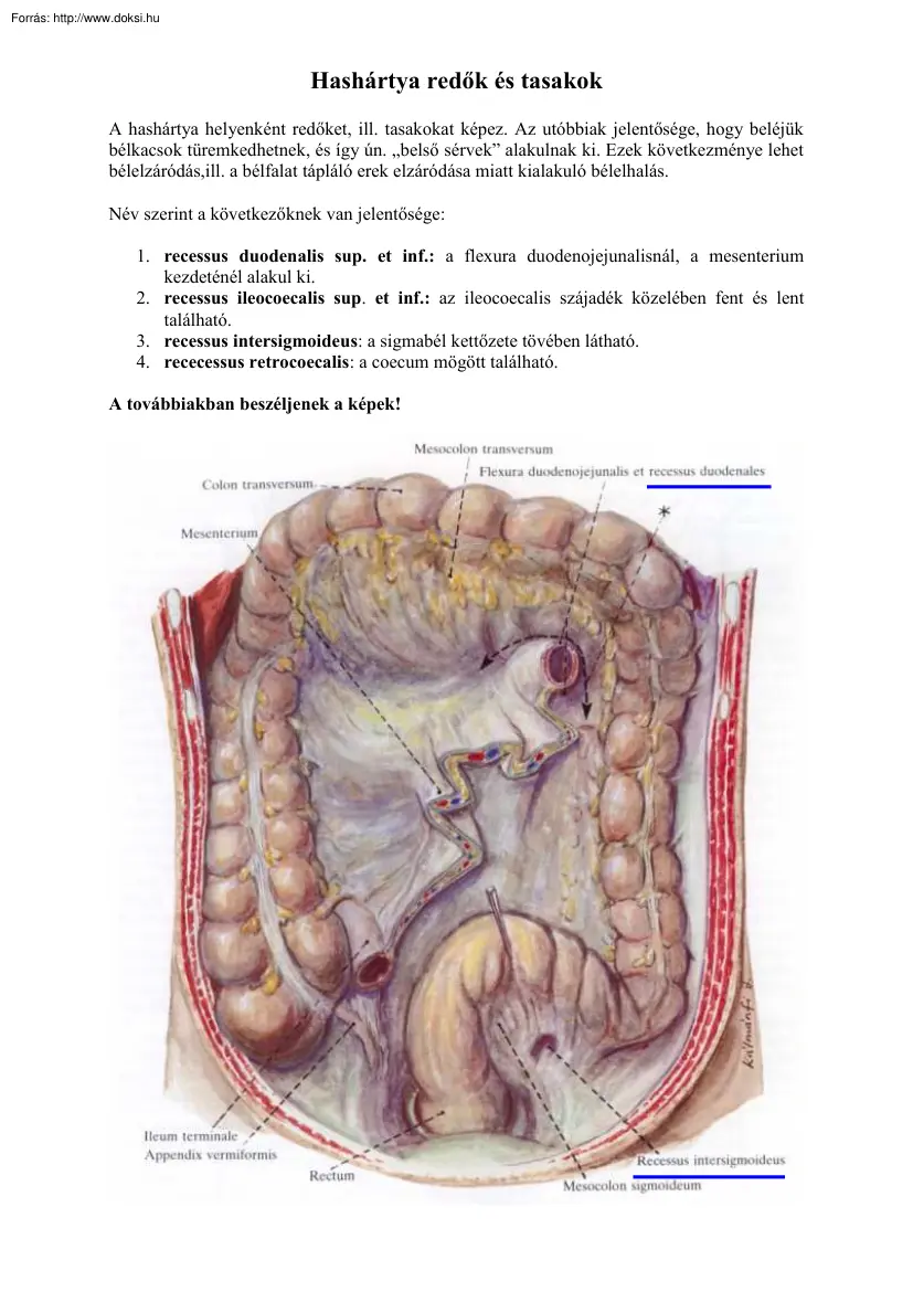 Hashártya redők és tasakok