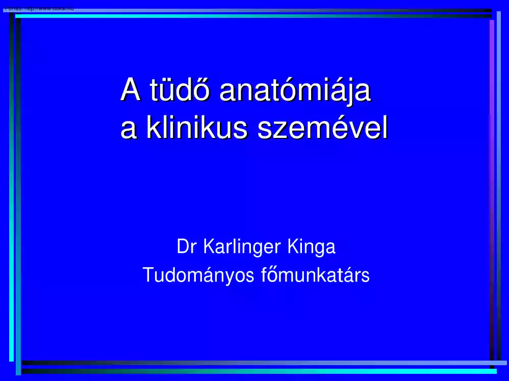 Dr. Karlinger Kinga - A tüdő anatómiája a klinikus szemével