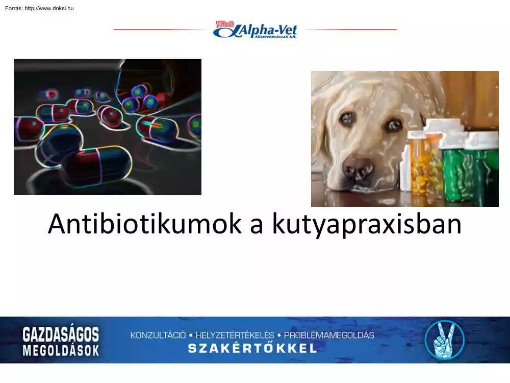 Antibiotikumok a kutyapraxisban