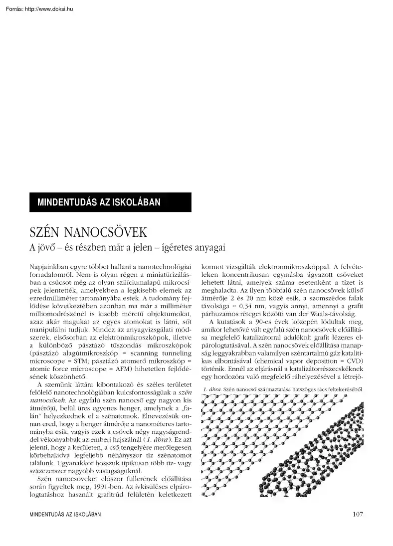 Kürti Jenő - A szén nanocsövek