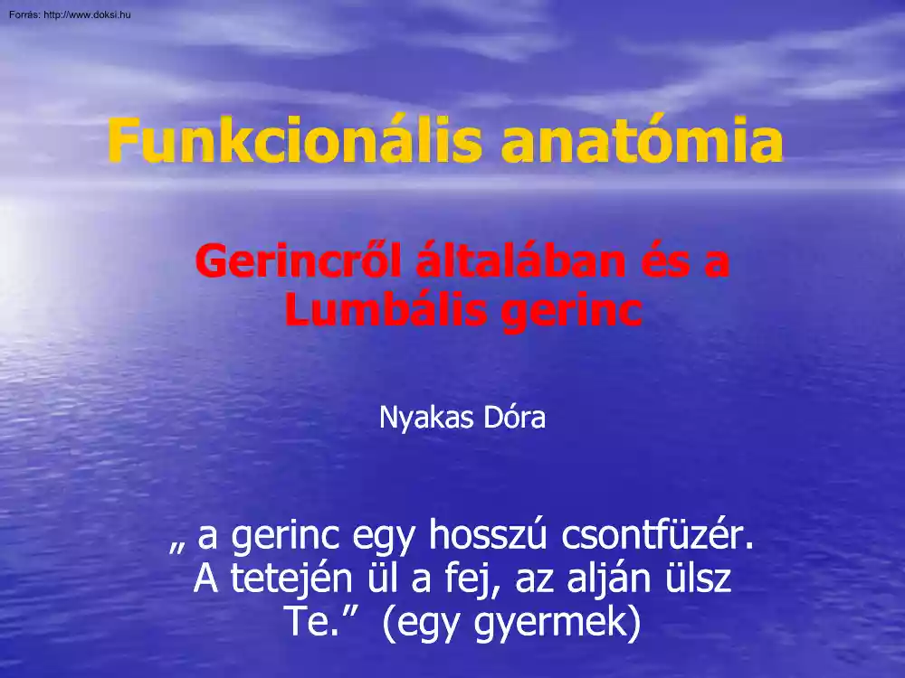 Nyakas Dóra - Gerincről általában és a lumbális gerinc