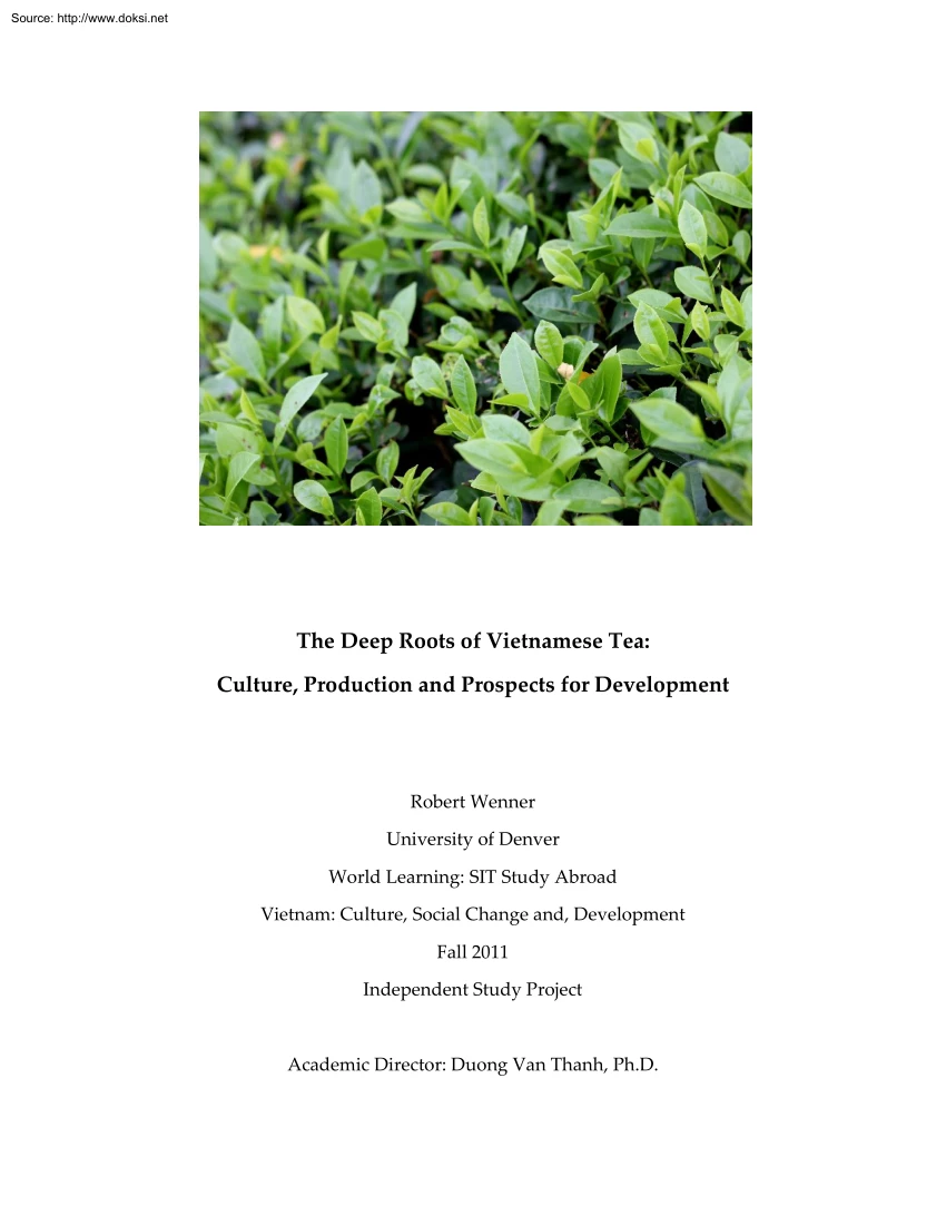 Robert Wenner - The Deep Roots of Vietnamese Tea, Culture, Production and Prospects for Development