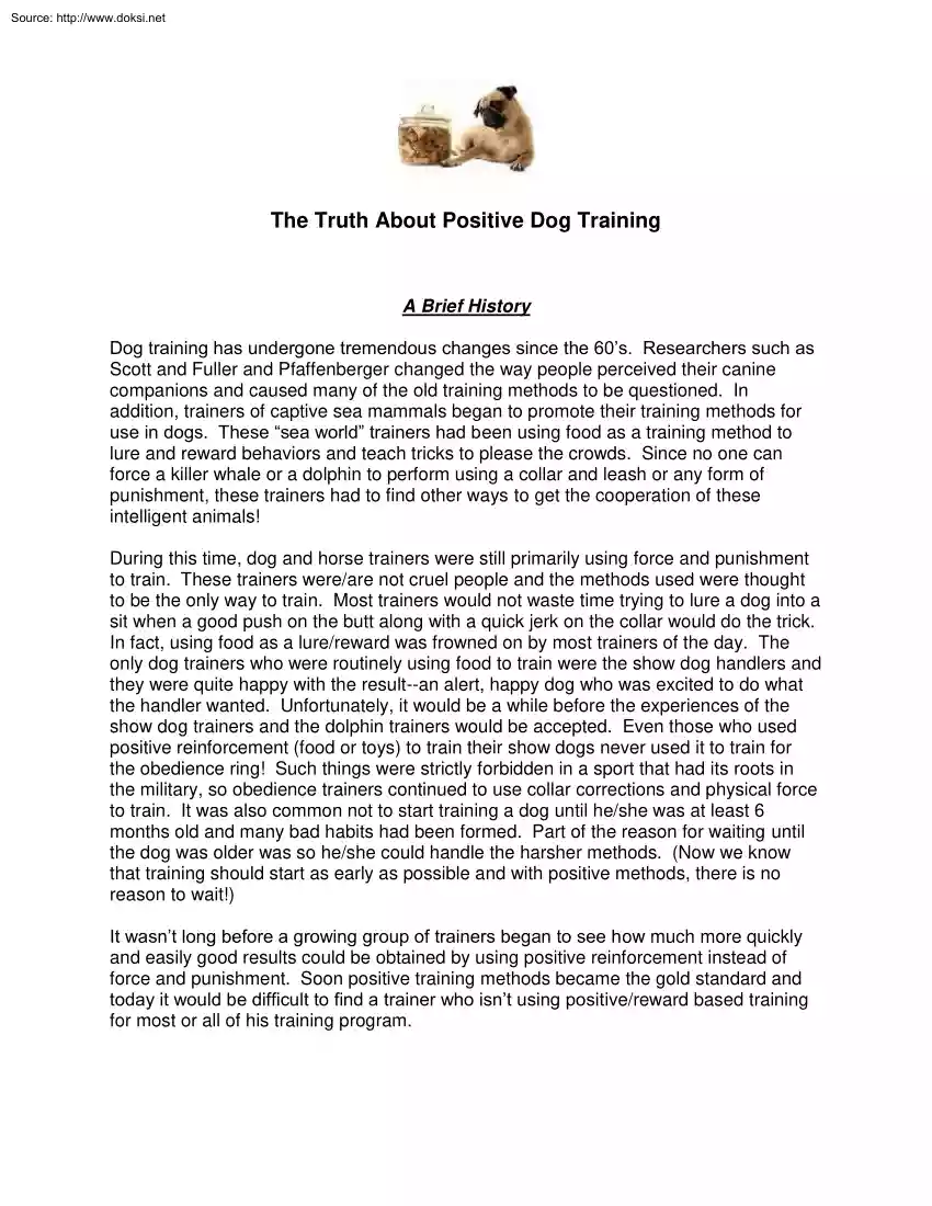 The Truth About Positive Dog Training