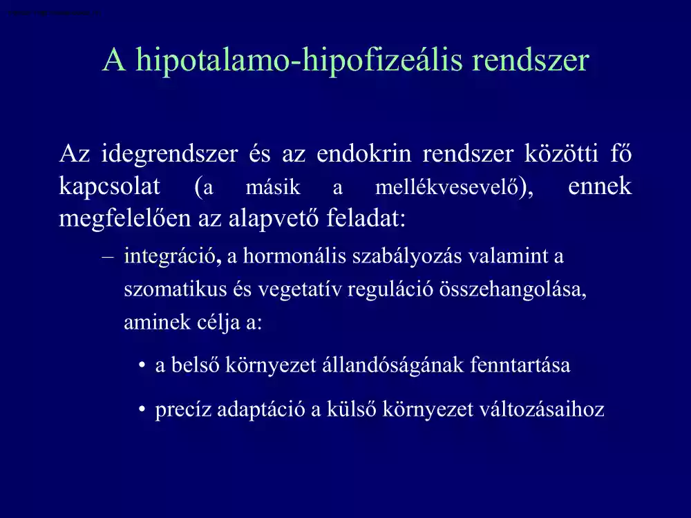 A hipotalamo-hipofizeális rrendszer