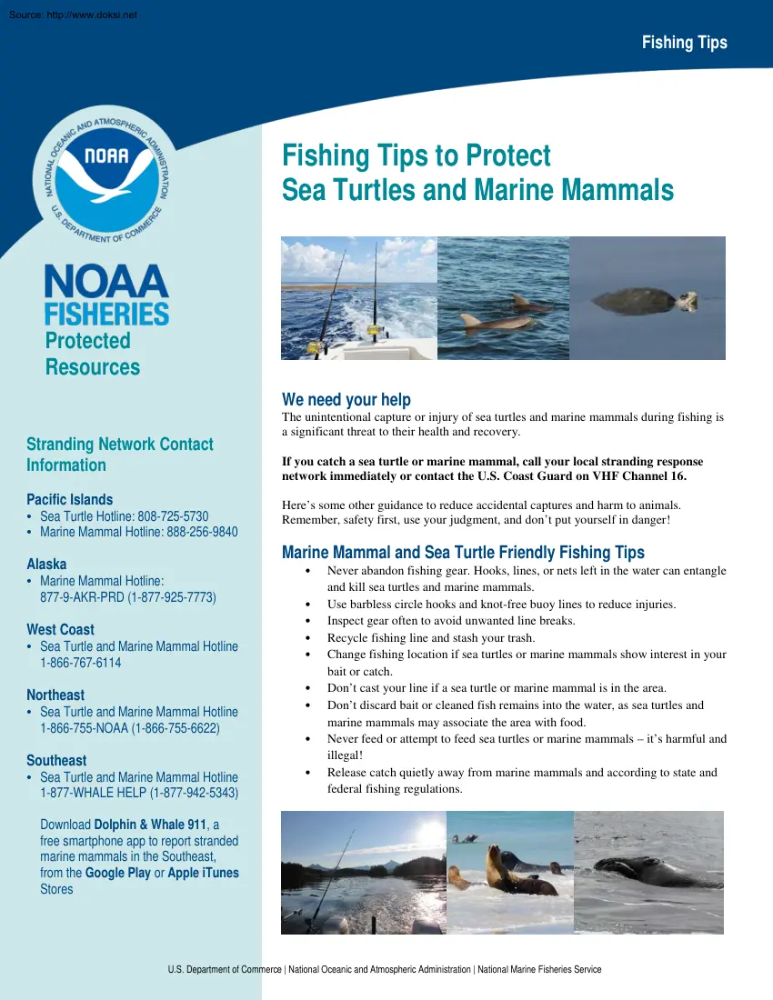 Fishing Tips to Protect Sea Turtles and Marine Mammals