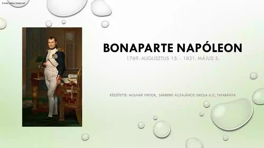 Molnár Viktor - Bonaparte Napóleon