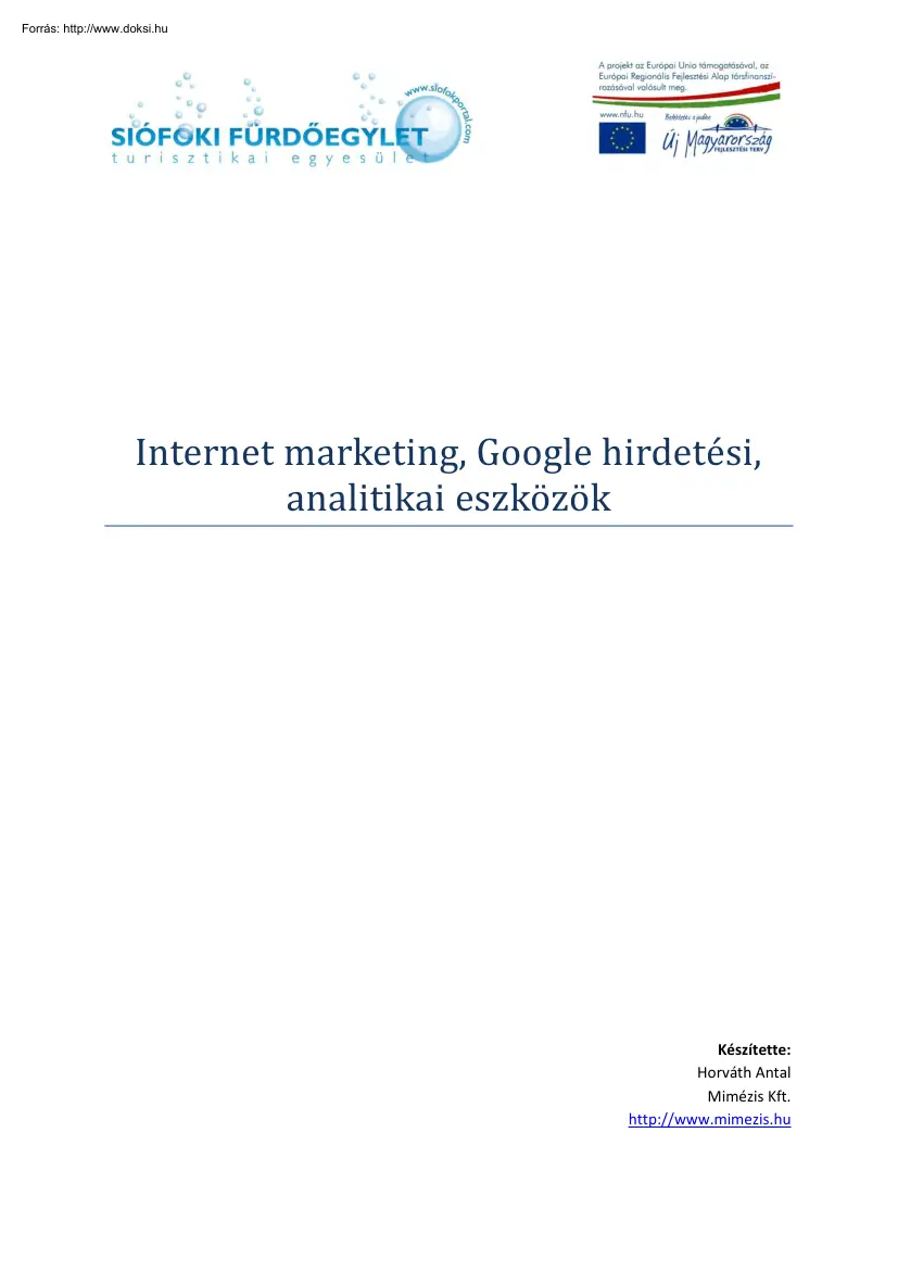 Horváth Antal - Internet marketing, Google hirdetési, analitikai eszközök