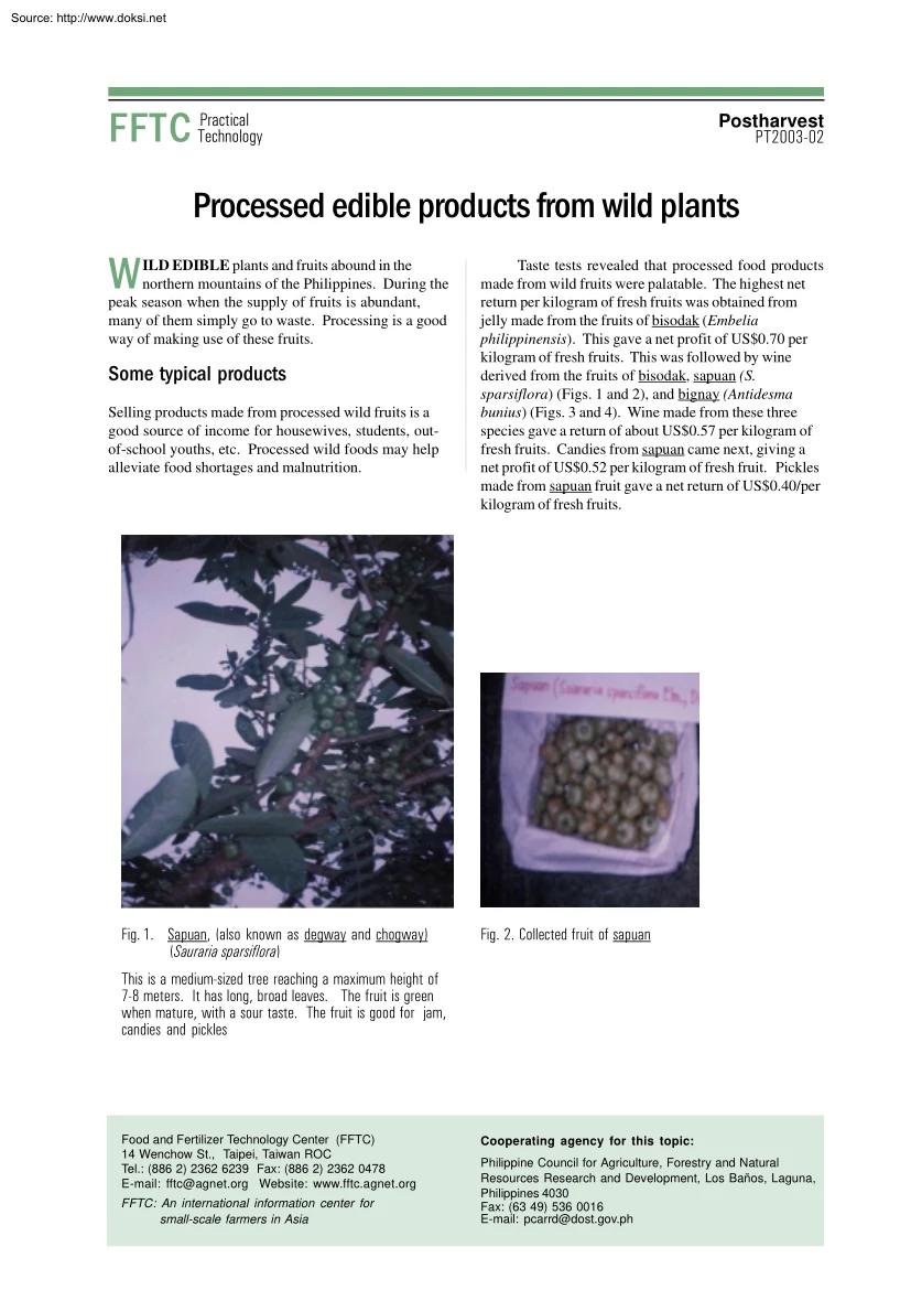 Processed Edible Products from Wild Plants