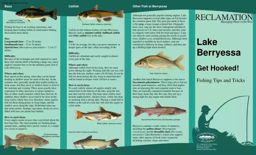 Lake Berryessa, Fishing Tips and Tricks