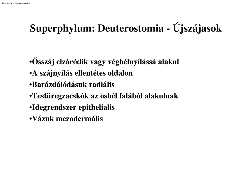 Deuterostomia, újszájasok II
