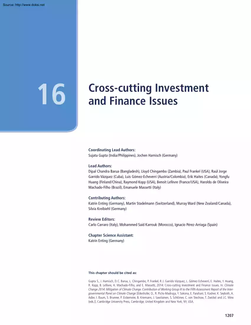Sujata Gupta - Cross Cutting Investment and Finance Issues