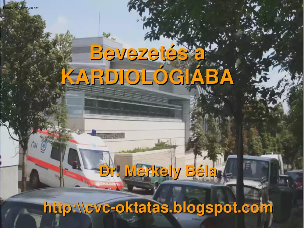 Dr. Merkely Béla - Bevezetés a kardiológiába