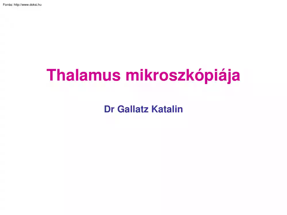 Dr. Gallatz Katalin - A Thalamus mikroszkópiája