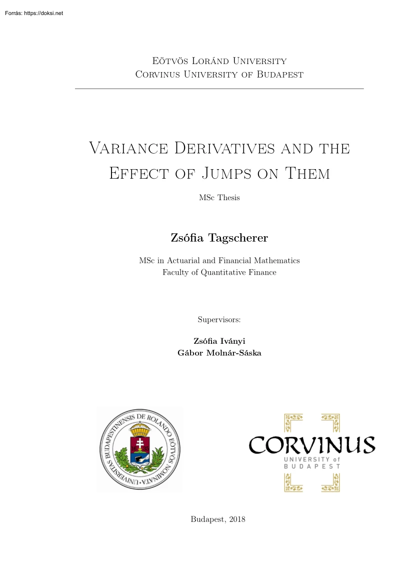 Zsófia Tagscherer - Variance derivatives and the effect of jumps on them