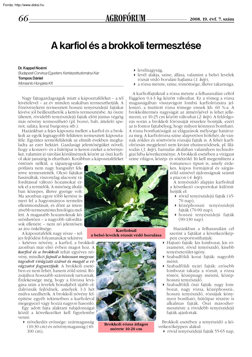 Dr. Kappel-Tompos - A karfiol és a brokkoli termesztése